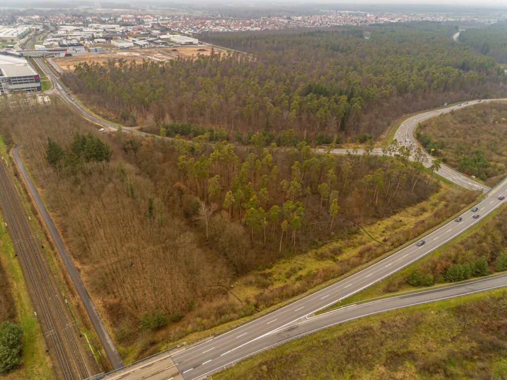 Grundstück Graben Neudorf bewaldet